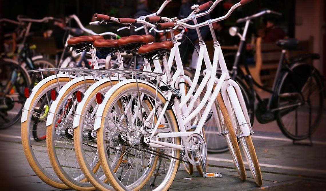 Passeggiando in bicicletta
