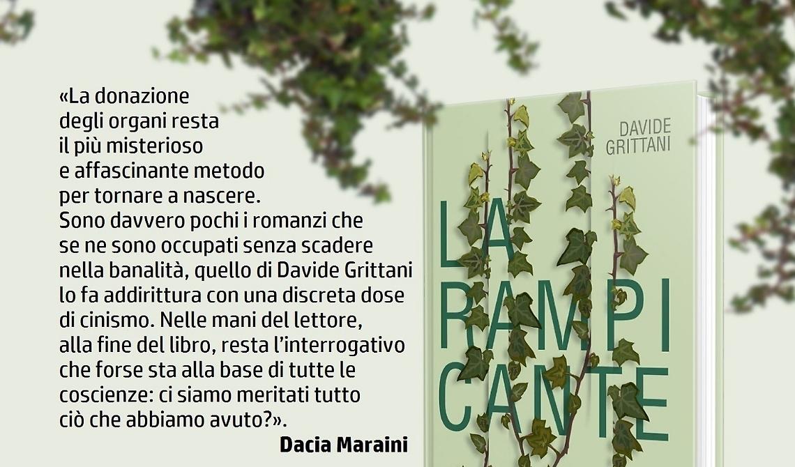 La rampicante di Grittani a Potenza 