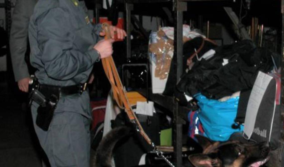 Sorpreso su un bus con 95g di marijuana, arrestato 19enne dalla squadra cinofila di Matera