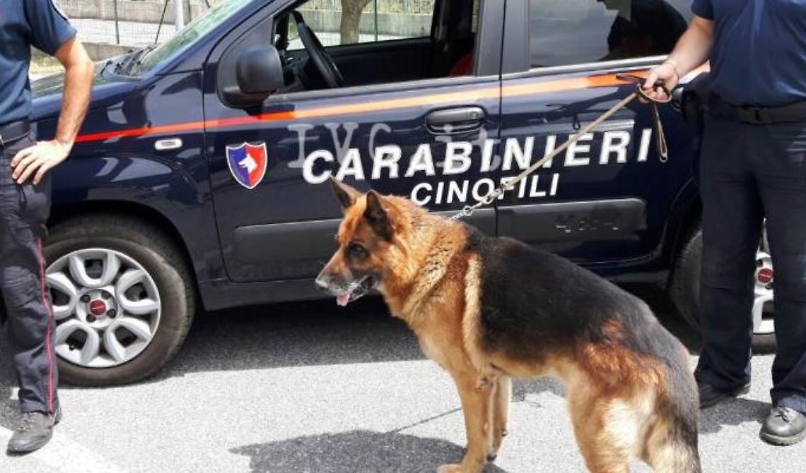 Sorpreso con eroina, hashish e una grossa somma di denaro: arrestato a Genzano