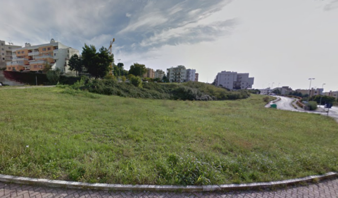 Manutenzione verde urbano a Matera, aggiudicata la gara d'appalto