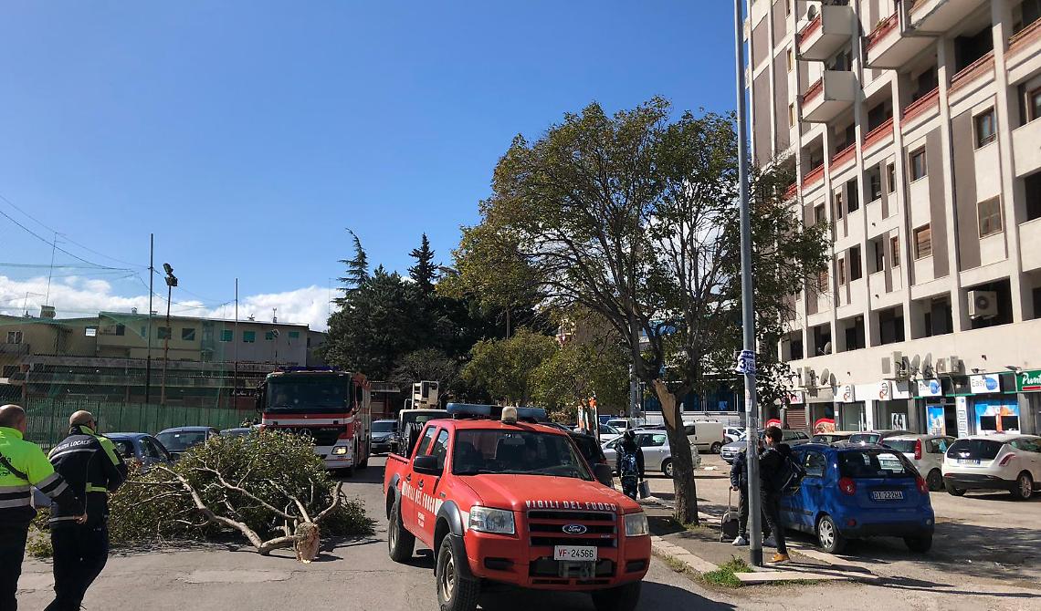 Raffiche di vento, via Mastelloni cade ramo colpisce donna