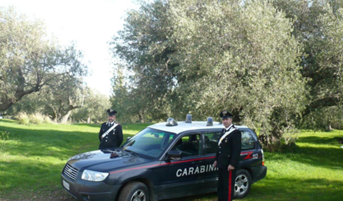 Cede carico di olive per pagare i debiti: denunciato autotrasportore 