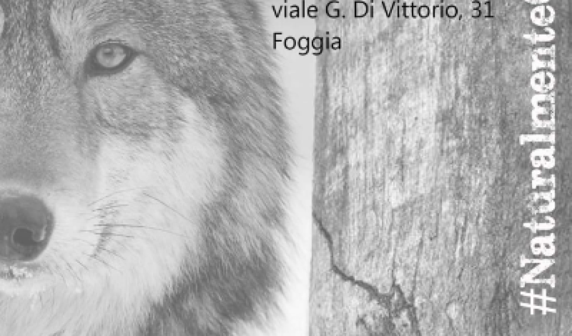Appuntamento con i lupi al Museo di Storia naturale di Foggia