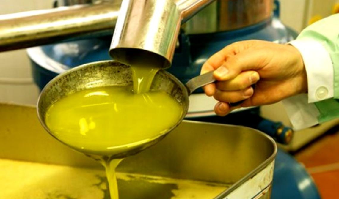 Olio di semi spacciato per olio d'oliva: 24 arresti 