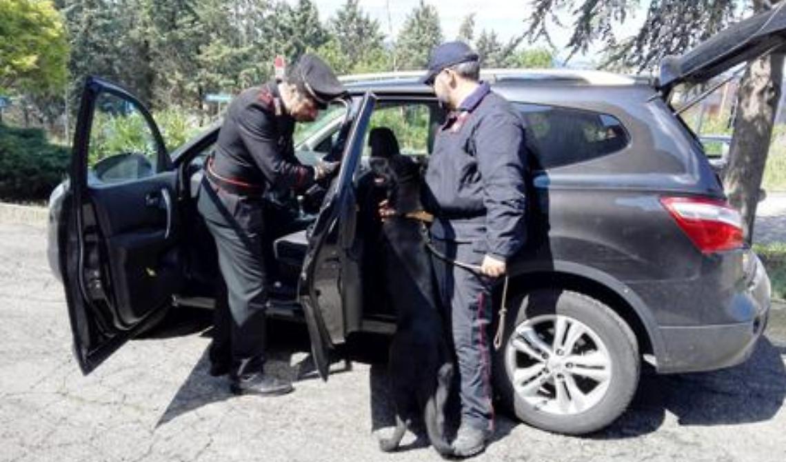 Sorpreso con cocaina, hascisc e marijuana: arrestato 36enne nel Materano