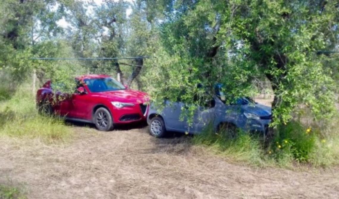 Cerignola, ritrovate una Fiat Stelvio e Panda: erano nascoste in un uliveto