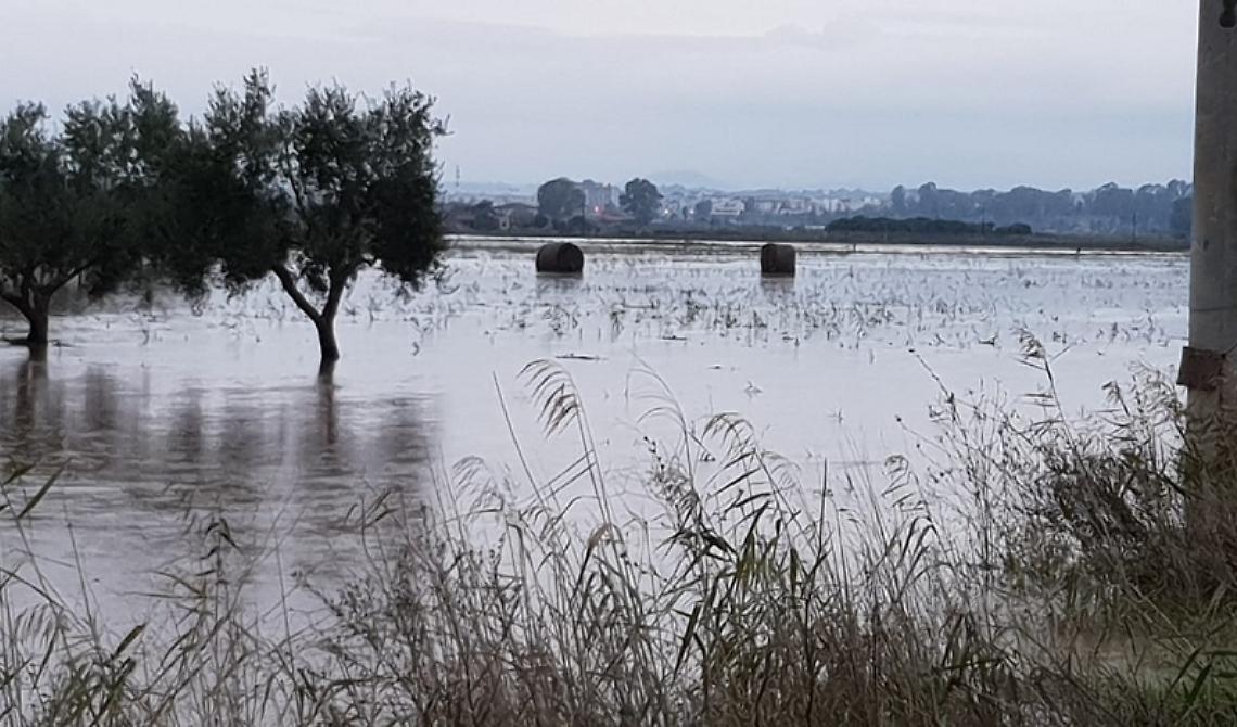 Allagamenti nel Metapontino, Pittella e Margiotta (Pd): "Silenzio dalla Regione"