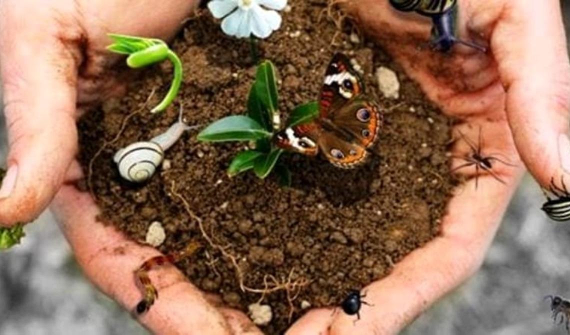 Biodiversità, concluso il percorso formativo degli studenti di Lagopesole