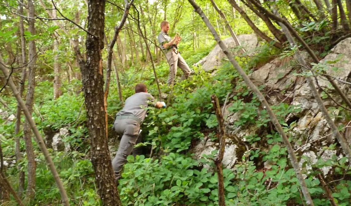 Forestazione, Bardi annuncia la piena operatività degli oltre 3 mila addetti lucani