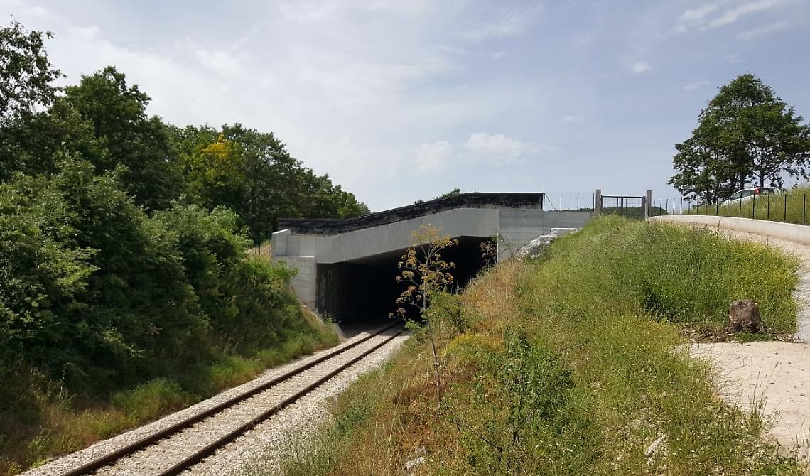 Treni sospesi dal primo luglio sulla Potenza Foggia, si viaggerà in autobus