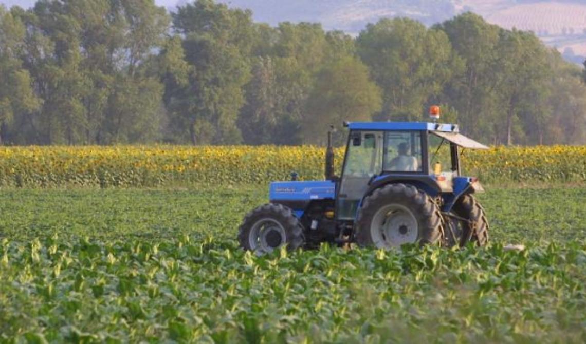 Incidente sul lavoro, morto agricoltore 57enne nel Materano