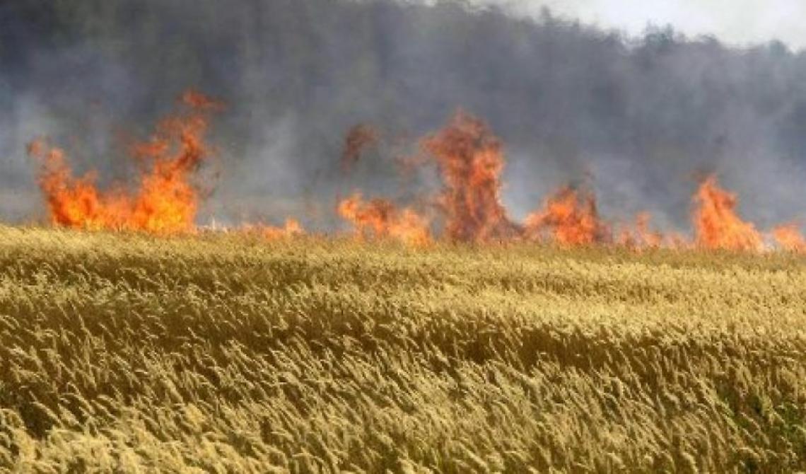 San Severo, identificato l'agricoltore morto carbonizzato