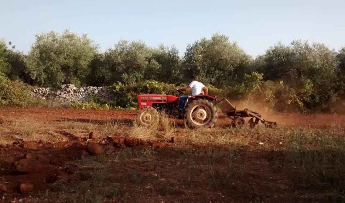 Per l'aratura di terreni, un pensionato foggiano, pregiudicato, prende a cazzotti un concorrente di Rignano Garganico