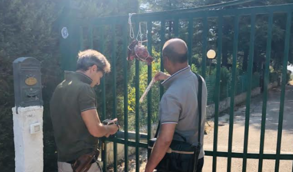 Foggia Calcio, la trattativa diventa mafiosa: teste d'agnello per Bacco, il medico legale che guida una cordata interessata al titolo agonistico