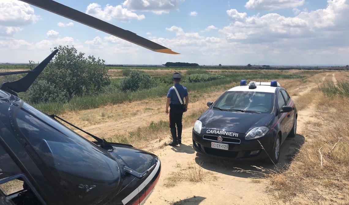 Cerignola, in cerca di trattori rubati i Carabinieri scoprono un "cimitero" di auto cannibalizzate