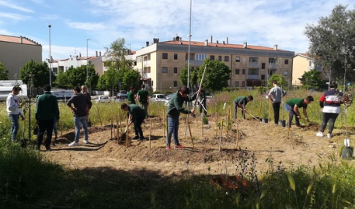Gardentopia, ad Oliveto Lucano le riprese del film "Autotrofia" di Anton Vidokle