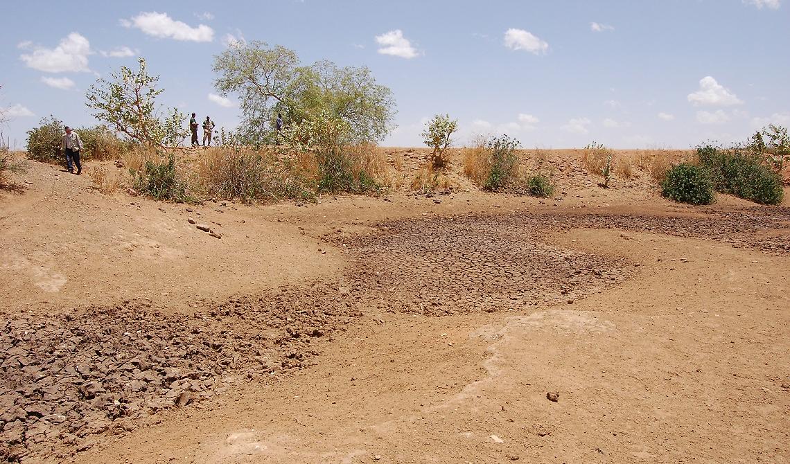 Surriscaldamento, CNR: "Maggiormente a rischio desertificazione Molise, Puglia e Basilicata"