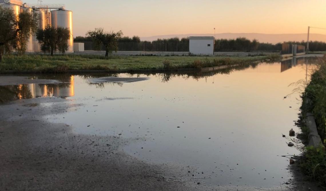 Sabotaggio di delinquenti ad una cantina di San Severo: vino lasciato scorrere a fiume nelle campagne