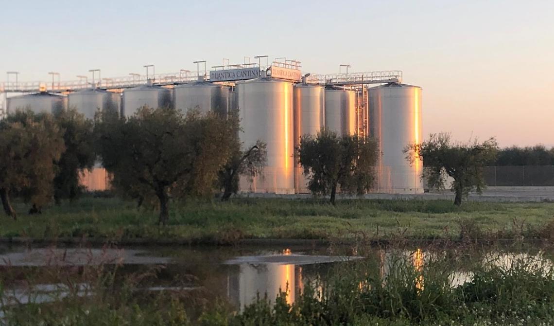 Sabotaggio all'Antica Cantina di San Severo: danni per un milione e mezzo di euro