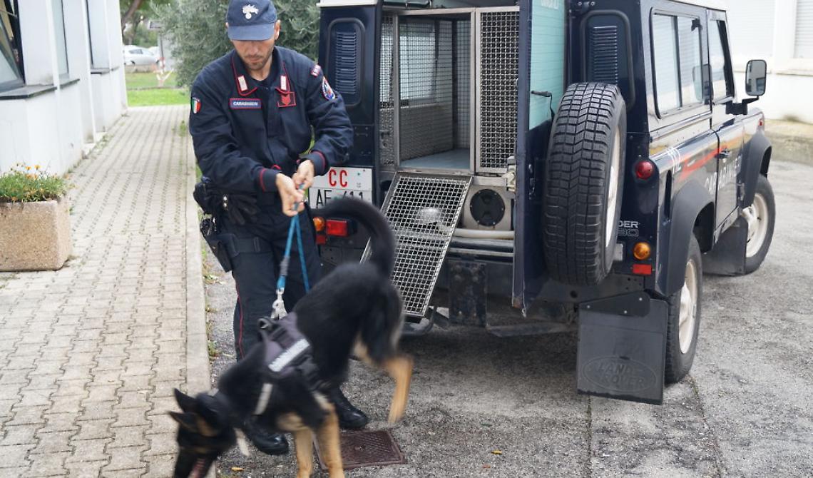 Operazione "Neve di marzo", soffocata dai carabinieri l'ennesima guerra tra clan sul Gargano: 15 arresti e trenta indagati a Vieste