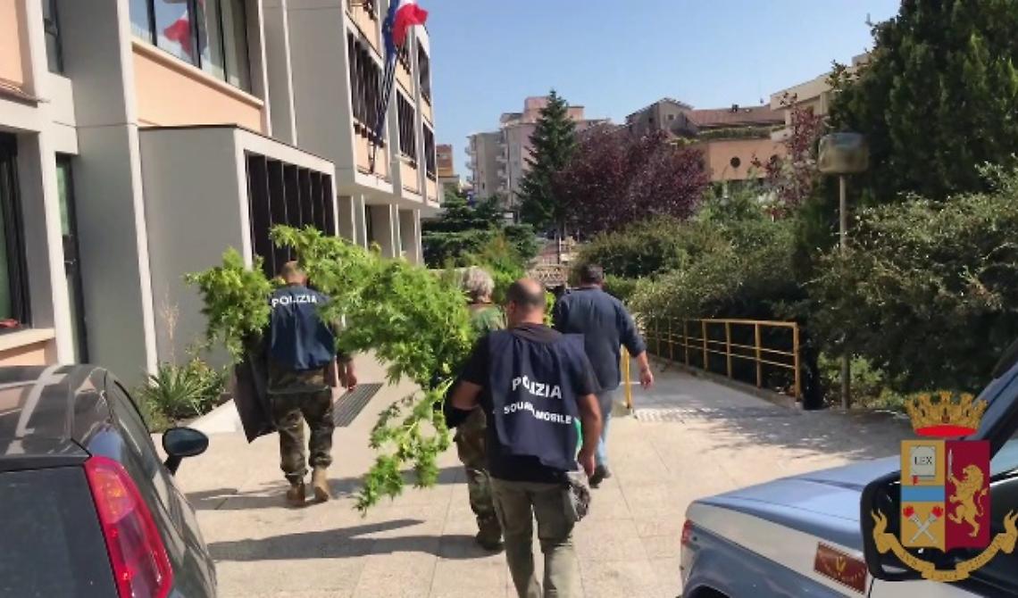 Colossale operazione antidroga della Polizia di Campobasso: 6 arresti e 70 perquisizioni, anche a Foggia