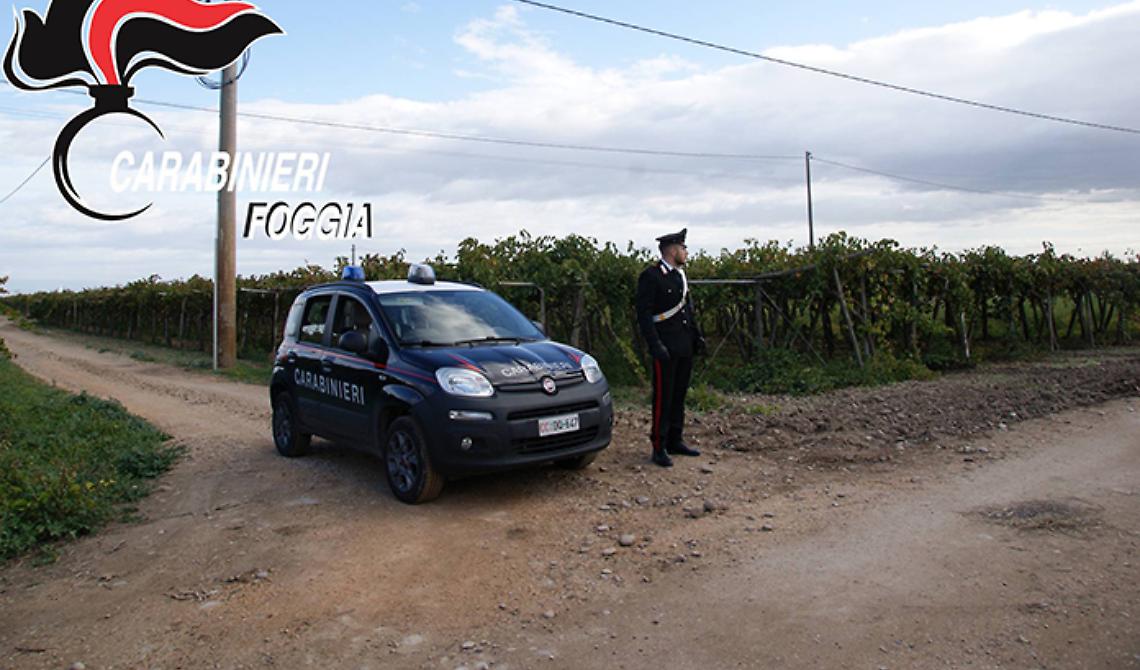 Malavita,  impresa agricola di Orta Nova sottoposta ad amministrazione giudiziaria