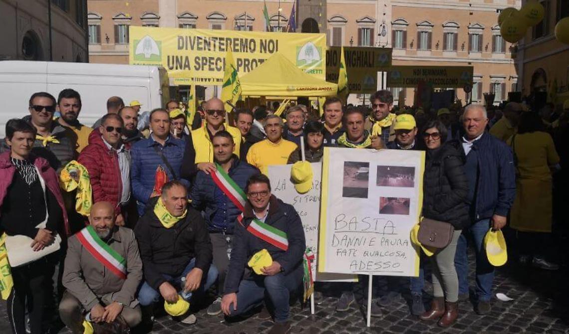 Emergenza cinghiali, oltre 100 agricoltori lucani in presidio a Roma