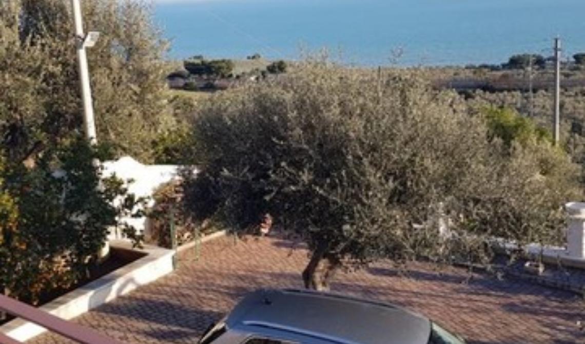 Mafia, 9 colpi di fucile per freddare "Fic Secc" a Monte Sant'Angelo