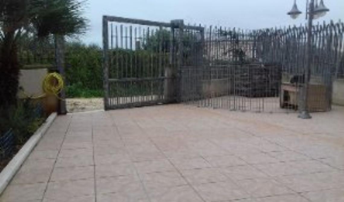 Coppia di anziani di 82 anni bastonata e rapinata a Poggio Imperiale da due delinquenti