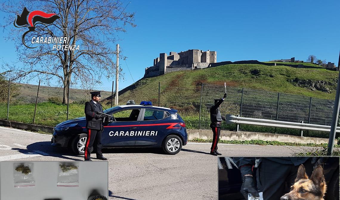 A Melfi il cane carabiniere "Gnom" scova droga vicino una scuola: denunciato quindicenne