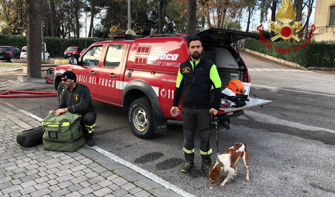Terremoto in Albania: Vigili del Fuoco e Croce Rossa pronti a partire anche da Foggia