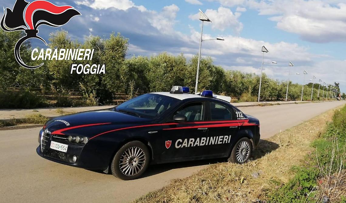 Cerignola, rumeno col vizietto di rubare olive: i Carabinieri glielo fanno passare