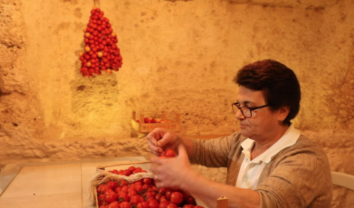 L'albero di Natale di Puglia avrà pomodori locali al posto delle palline colorate