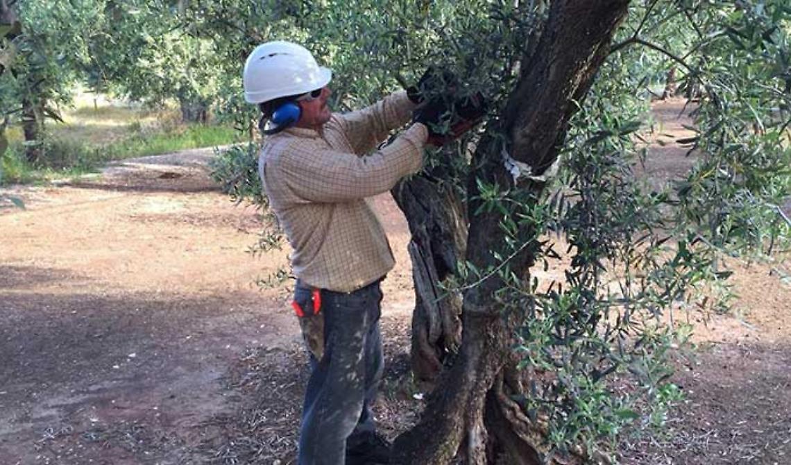 Agricoltura, così il kit sicurezza gratuito per le aziende