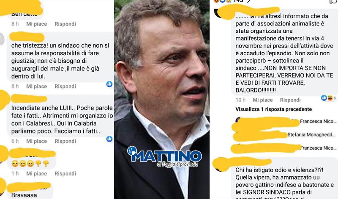 Il sindaco di Lucera minacciato di morte per il gattino ucciso a bastonate