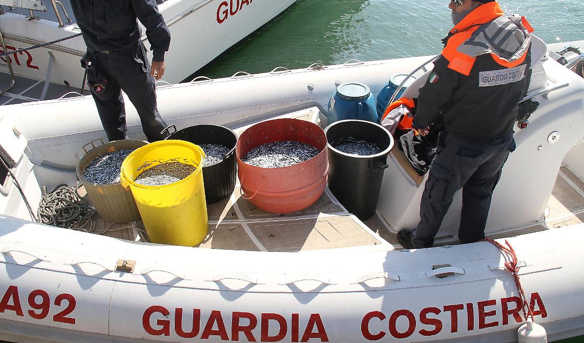 Pesca grossa della Guardia Costiera di Manfredonia: sequestrata una tonnellata e mezza di prodotti ittici