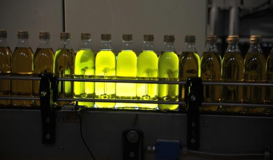 Da un frantoio di Lucera 1.200 litri di falso olio extravergine per le Marche, bloccato dai Carabinieri