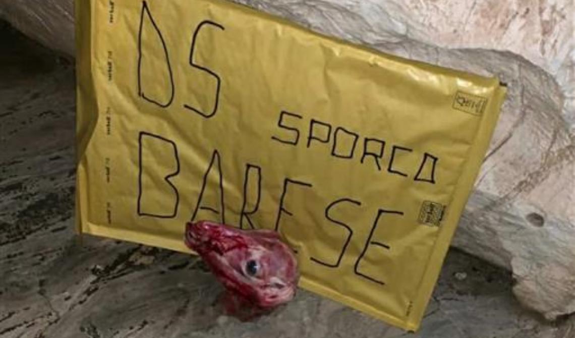 Testa mozzata di agnello per l'allenatore del Taranto dopo la sconfitta con il Foggia