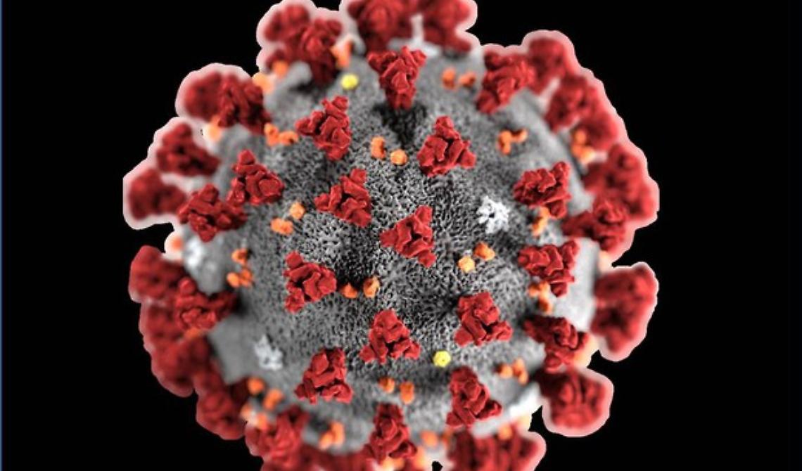 Coronavirus 