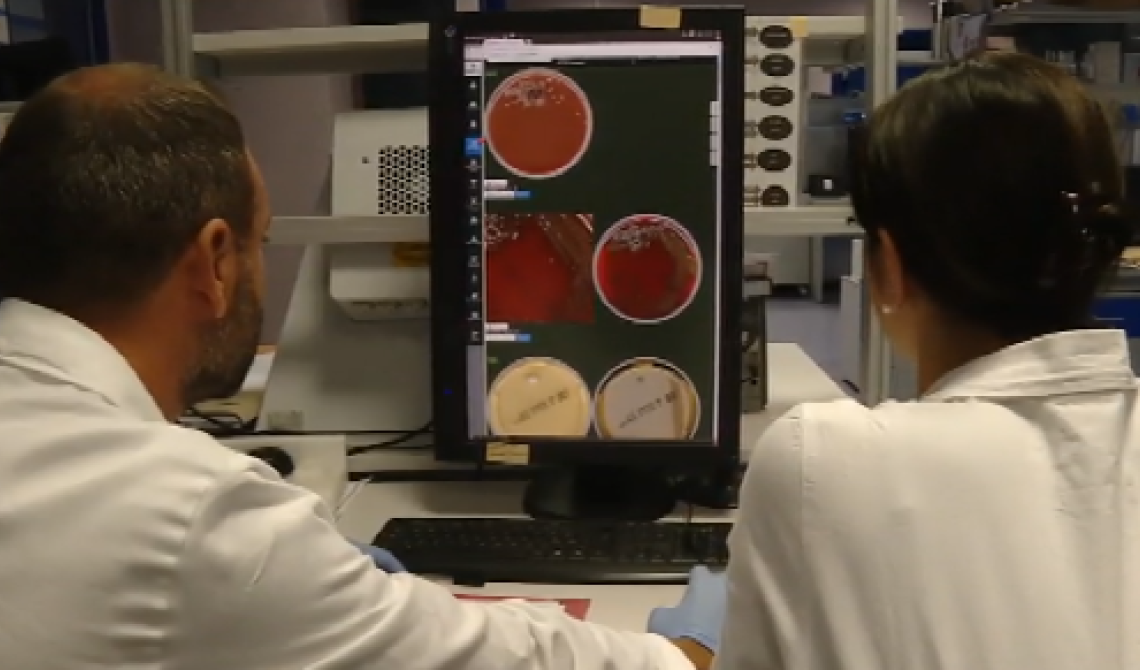 Coronavirus, il San Carlo ha comprato un nuovo macchinario per processare i tamponi