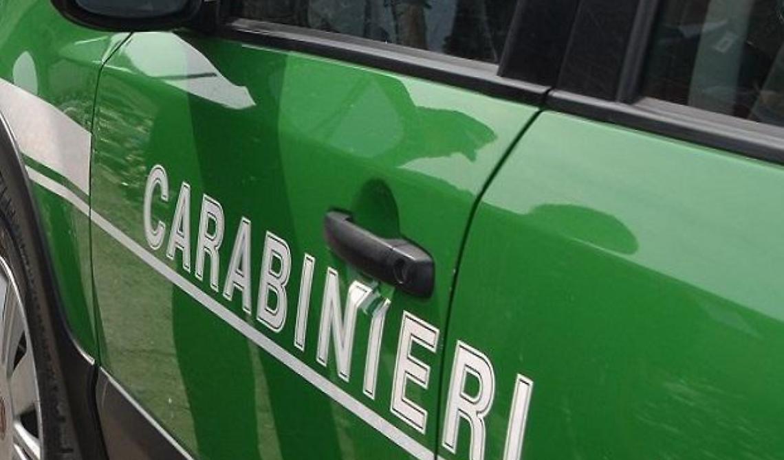  Peculato e concussione, arrestati due carabinieri a Potenza 