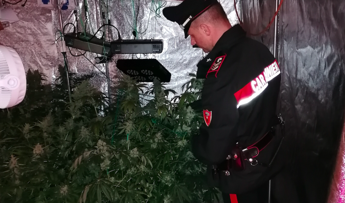 Rapolla, affittano una casa e ne fanno una serra per la droga: arrestati