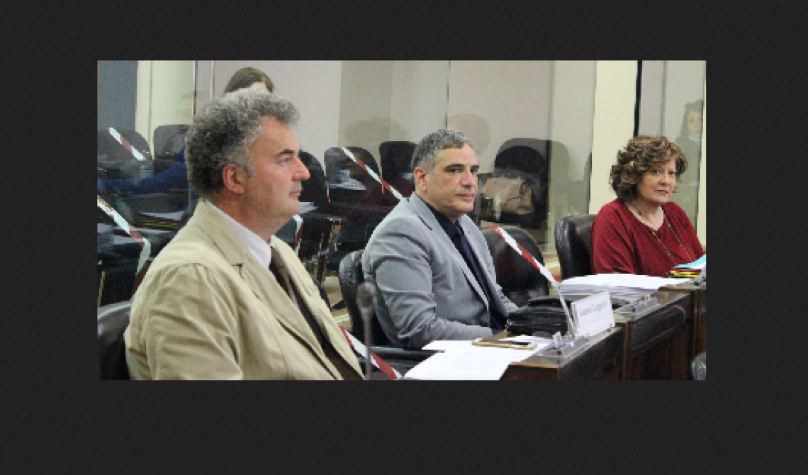 «Eolico selvaggio» a Ruoti, interrogazione pentastellata