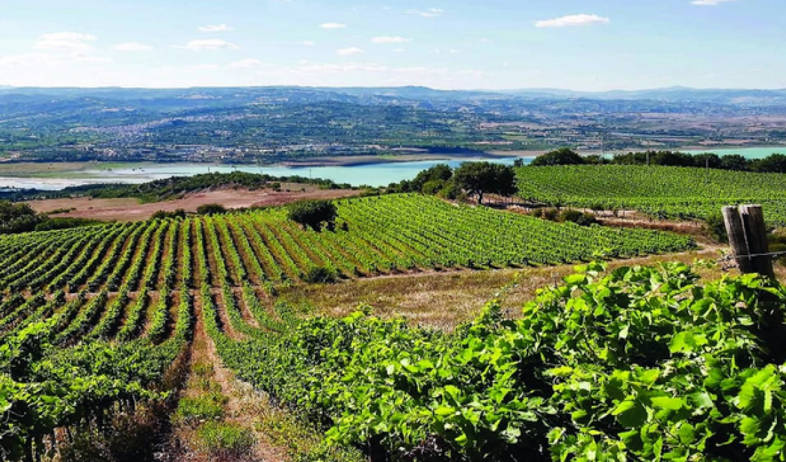 La vittoria della Tenuta Marino del prestigioso premio Città di Pramaggiore
