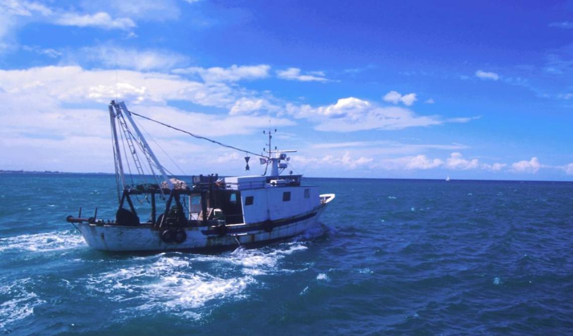 Sequestrato dalla Croazia peschereccio a nord di Vieste