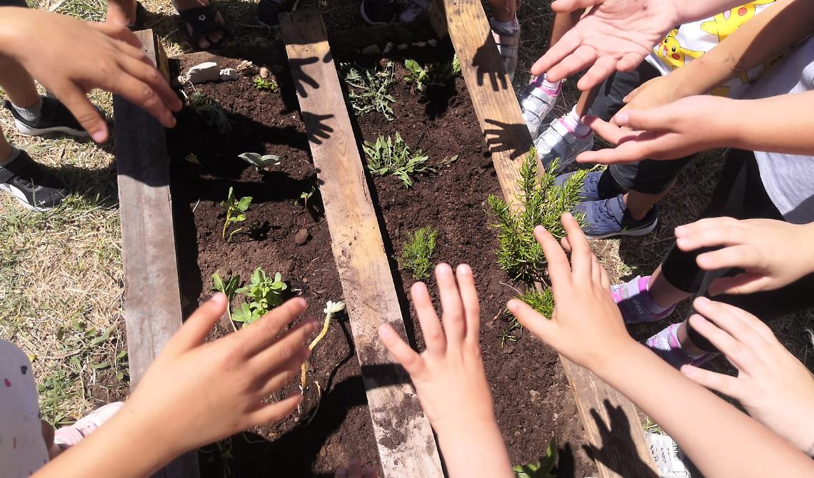 “Proteggiamoci dal Coronavirus”, giovedì 6 agosto a Montescaglioso un laboratorio educativo per bambini tenuto dalle associazioni di Protezione civile