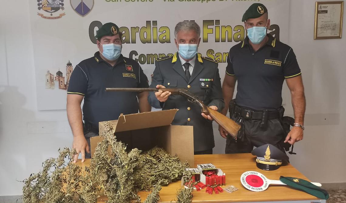 Tra Lucera e Serracapriola, la GdF sequestra tre piantagioni di cannabis arrestando un responsabile armato