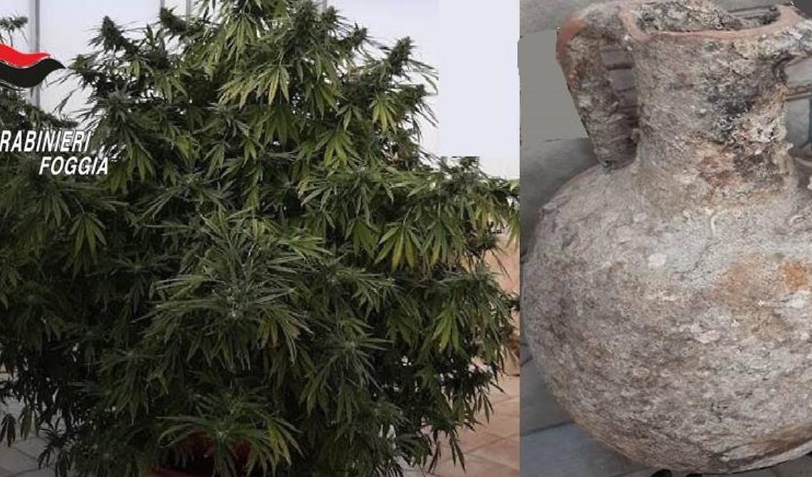 "Cultore" di marijuana e di reperti archeologici, insospettabile 55enne di Manfredonia incastrato dai Carabinieri