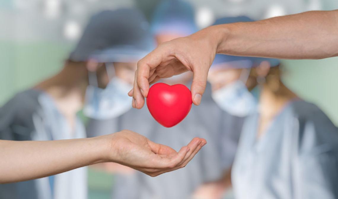 Foggia "maglia nera" anche per la donazione degli organi: la più generosa è Sassari